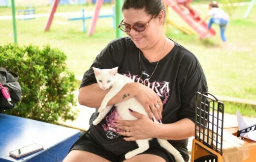 Castração e vacinação de animais são oferecidas por unidade móvel em Manaus